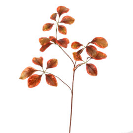 Beech Leaf Rouge L 74cm Feuille artificielle en soie