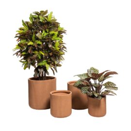 Pot Œuf Terra à rainures finition brute pour plante d'intérieur