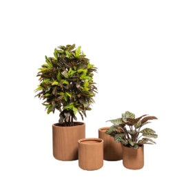 Pot Œuf Terra à rainures finition brute pour plante d'intérieur