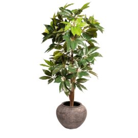 Pot jarre noir cendré pour plante d'intérieur