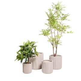 Pot Œuf beige à rainures finition brute pour plante d'intérieur