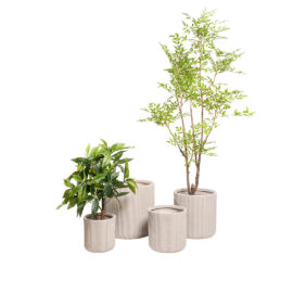 Pot Œuf beige à rainures finition brute pour plante d'intérieur